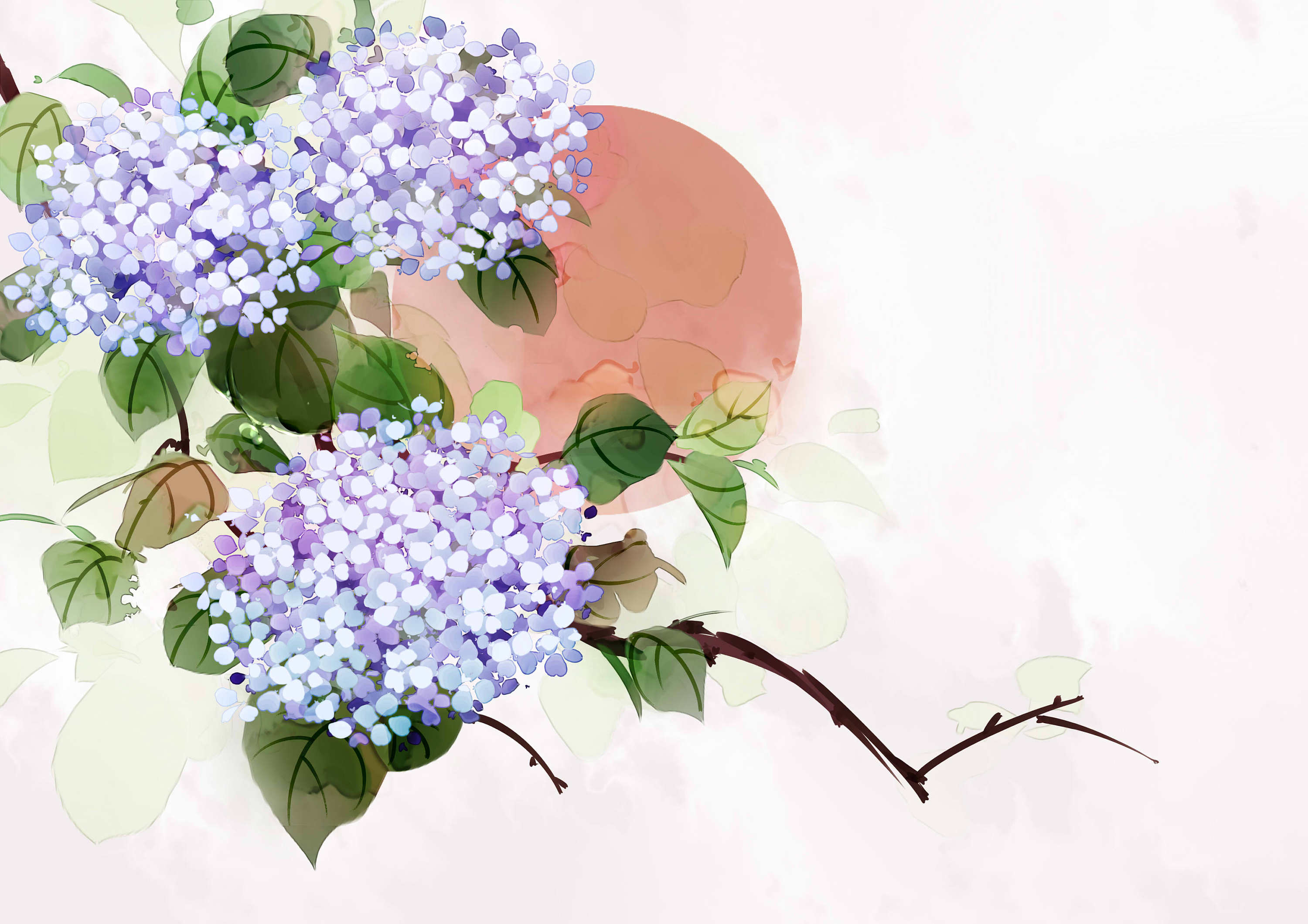 花卉|插画|其他插画|璃耒 - 临摹作品 - 站酷 (zcool)