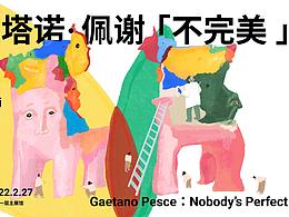「不完美」加埃塔诺.佩谢