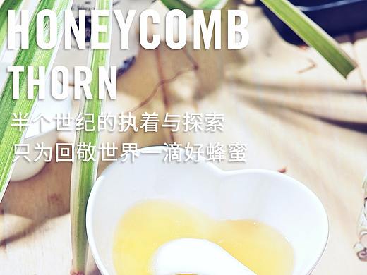 天兴蜂蜜  林涧花语洋槐蜜