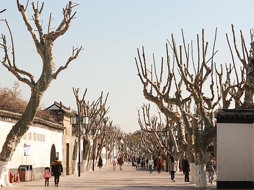 蘇州印象（個(gè)人主頁-ZNTA5ODQxMDQ=） - 風(fēng)光攝影 - 站酷設(shè)計(jì)師XUYIN11原創(chuàng)素材 - 站酷ZCOOL