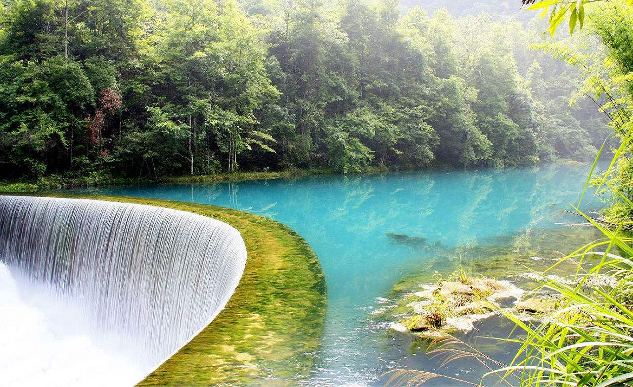 蛋花花蛋花花蛋花花蛋花花蛋花花