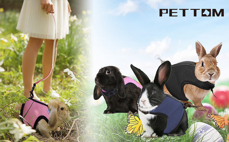 宠物牵引类产品A+设计