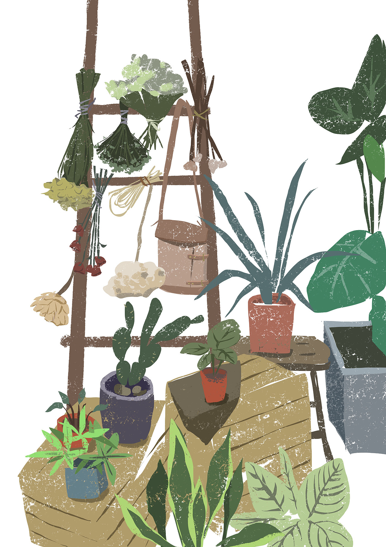 植物家（图ZODIyNzYxMzY=） - 创作习作 - 站酷设计师孔孔art原创素材 - 站酷ZCOOL