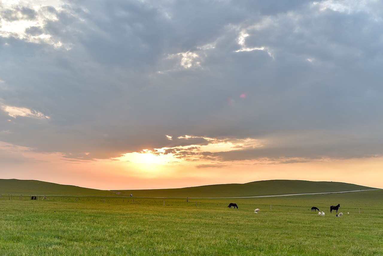 热情奔放的蒙古族庆祝2019中国草原蒙古马文化节