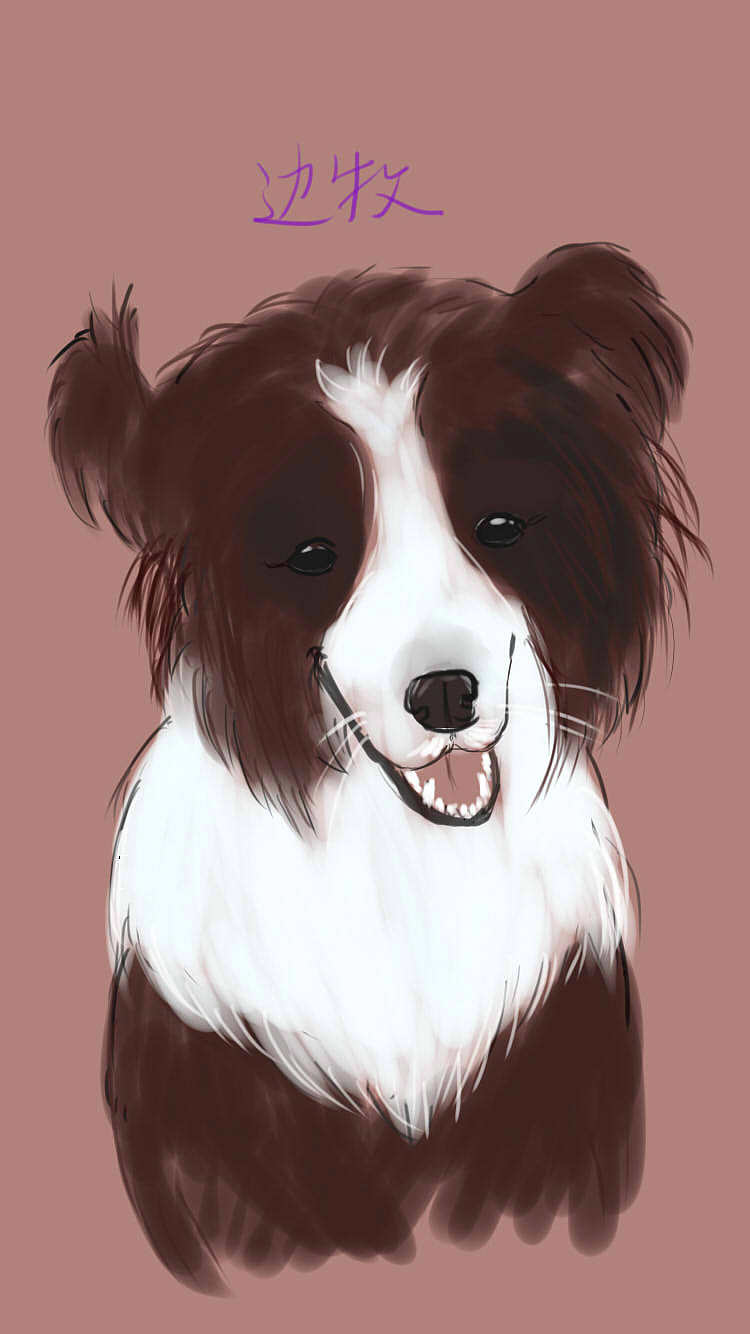 插画系列（图ZNDU5NTQwODA=） - 创作习作 - 站酷设计师lucyworship原创素材 - 站酷ZCOOL