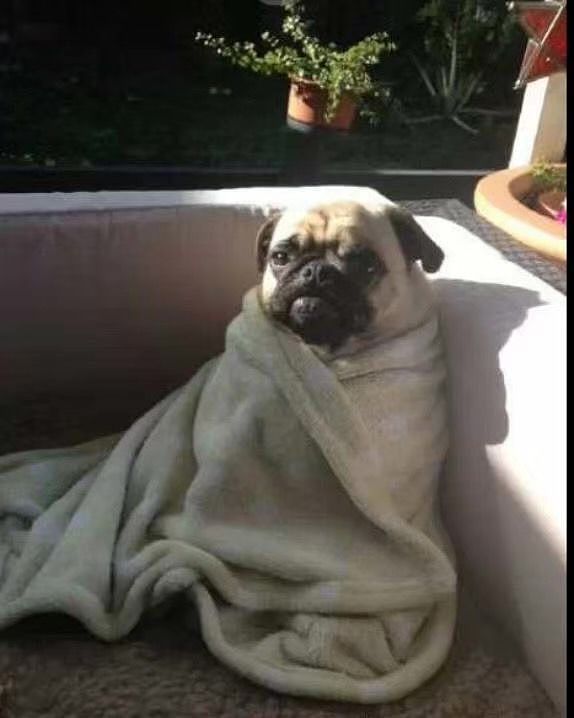 甜品奶茶拍摄（图ZMTc0ODc4ODA0） - 产品摄影 - 站酷设计师上海筑像集视觉原创素材 - 站酷ZCOOL