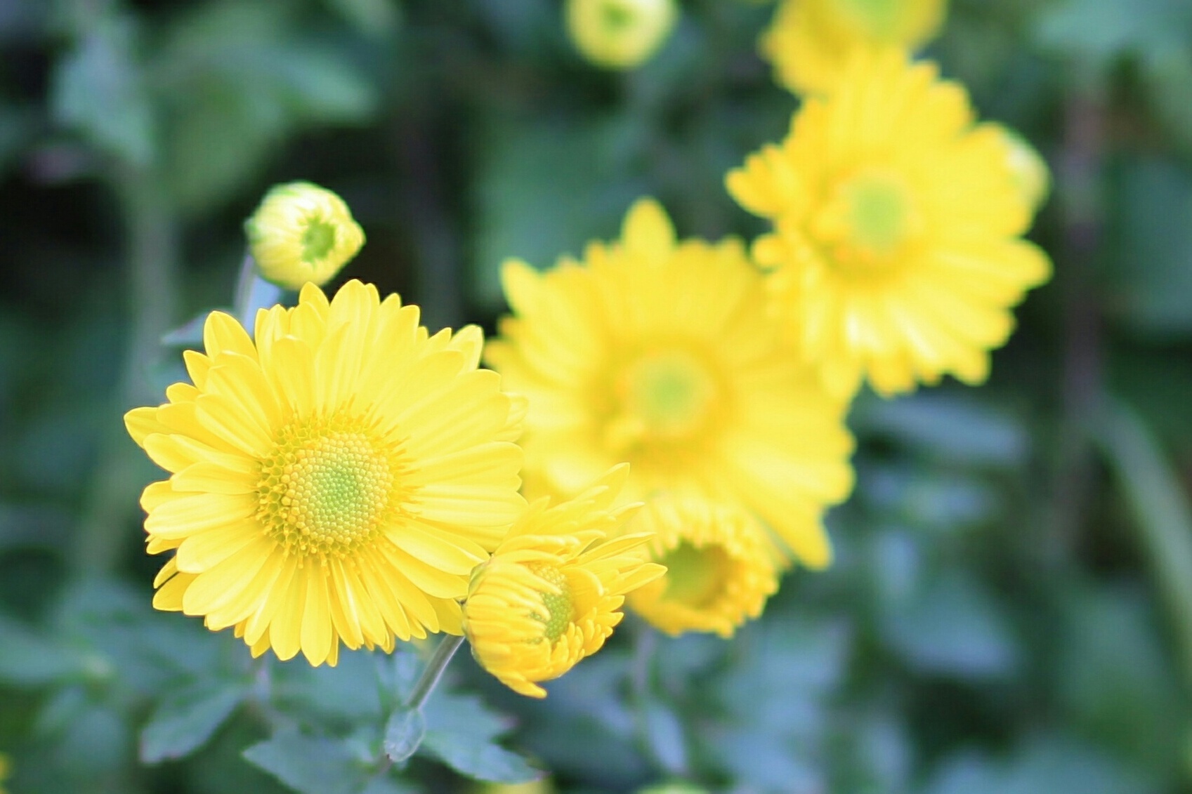 望穿秋水,不见还家