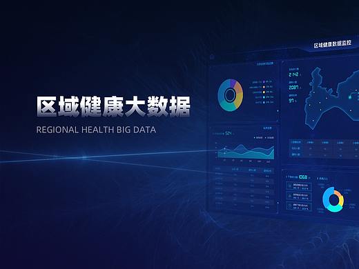 区域健康大数据