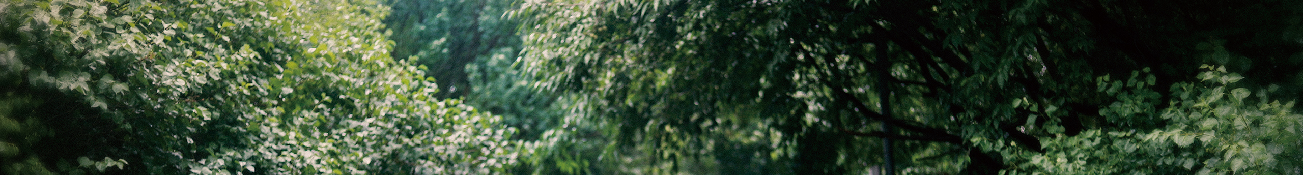 宠你CHONGNI的个人主页（封面预览） - 主页封面设置 - 站酷设计师宠你CHONGNI原创素材 - 站酷ZCOOL