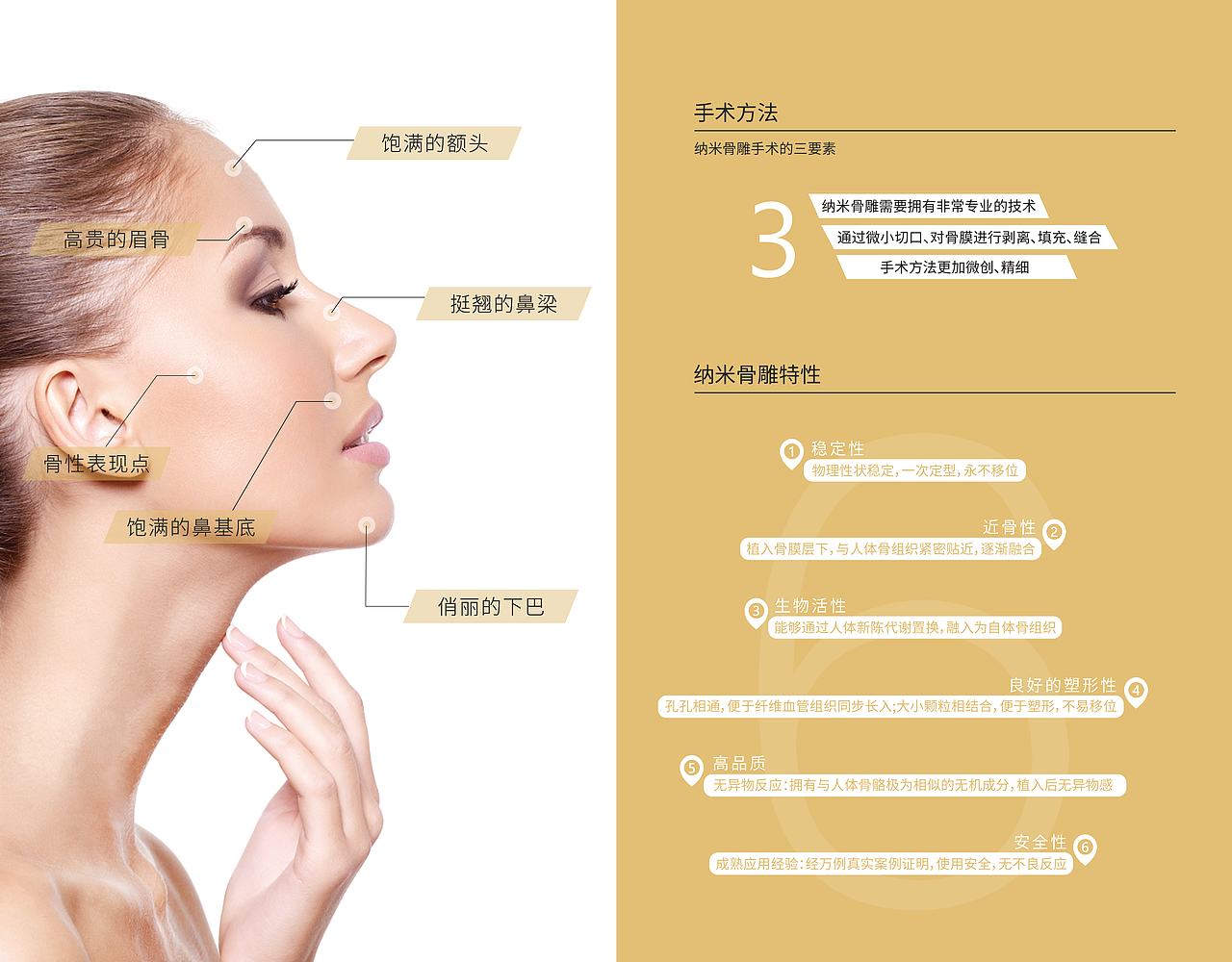 医美 纳米骨雕画册（图ZMjE2MDk1Nzc2） - 书籍/画册 - 站酷设计师AmelieHn原创素材 - 站酷ZCOOL