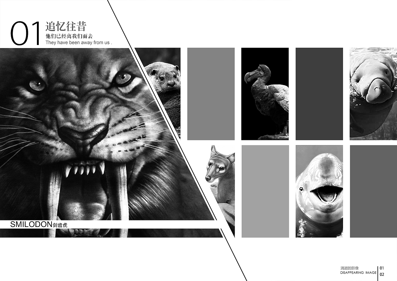 消逝的影像系列书籍版式设计（图ZMTcwNDUxMDQ=） - 书籍/画册 - 站酷设计师盐菜原创素材 - 站酷ZCOOL