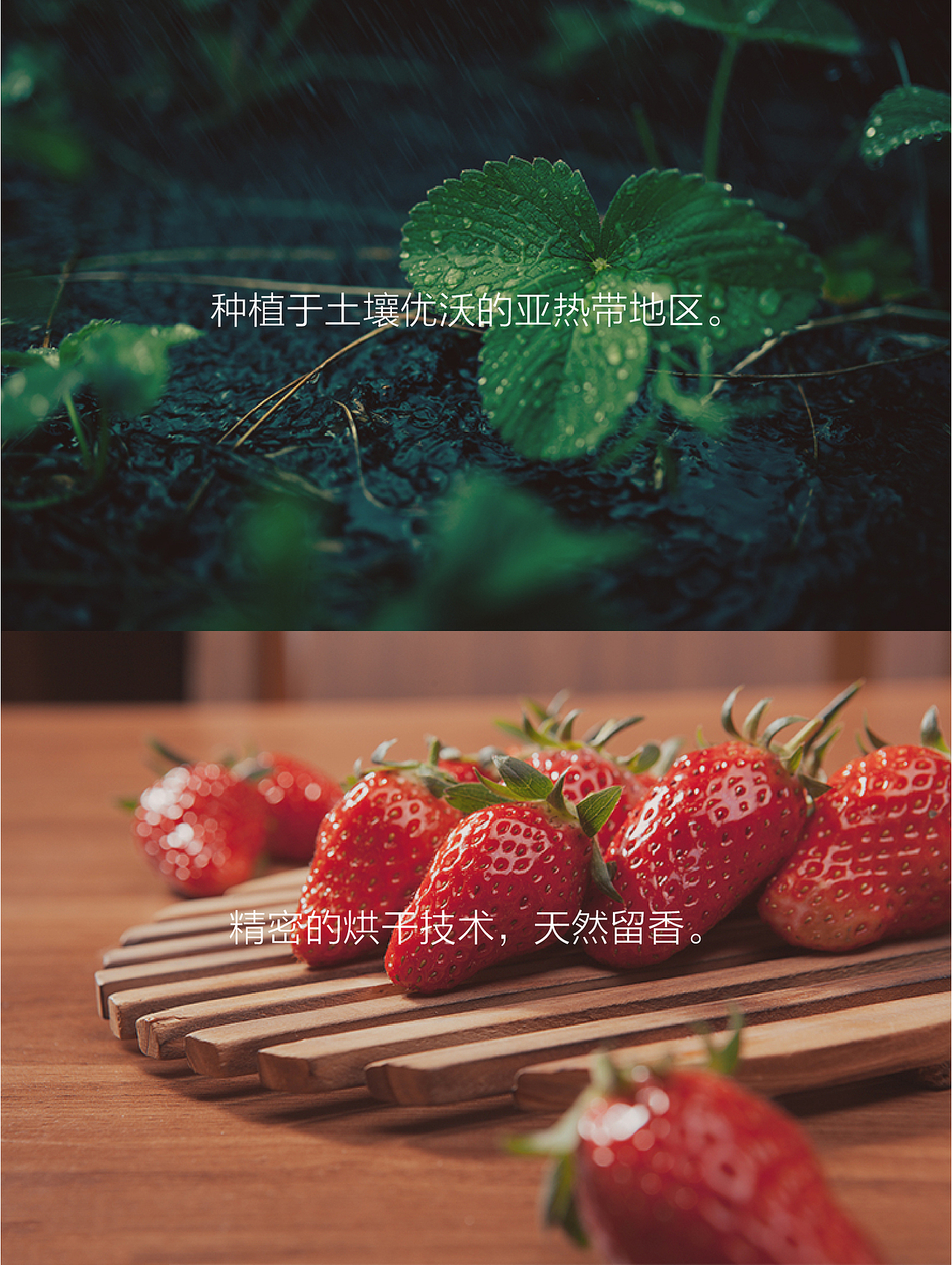 HIRO薯片和榙榙牌果干（图ZOTU0Mzk2OTI=） - 电商 - 站酷设计师美工爸爸原创素材 - 站酷ZCOOL