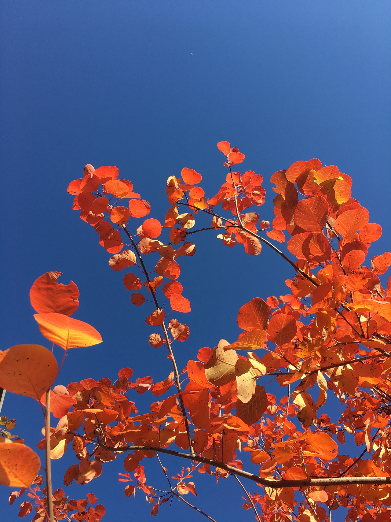 生活随拍（图ZMTA0Mjg5NDc2） - 风光摄影 - 站酷设计师开水馒头原创素材 - 站酷ZCOOL