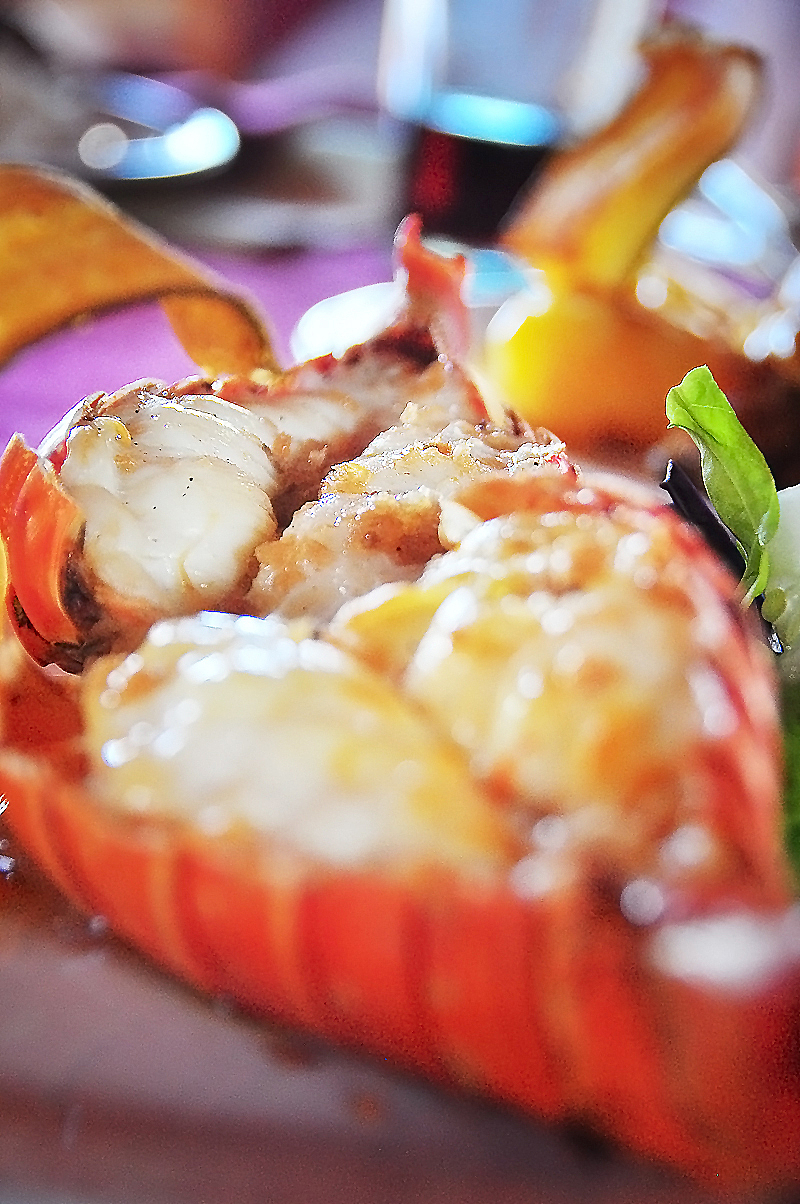 古巴—加勒比海上的热情岛国（图ZNTI0MzEyOA==） - 风光摄影 - 站酷设计师Edwiner原创素材 - 站酷ZCOOL