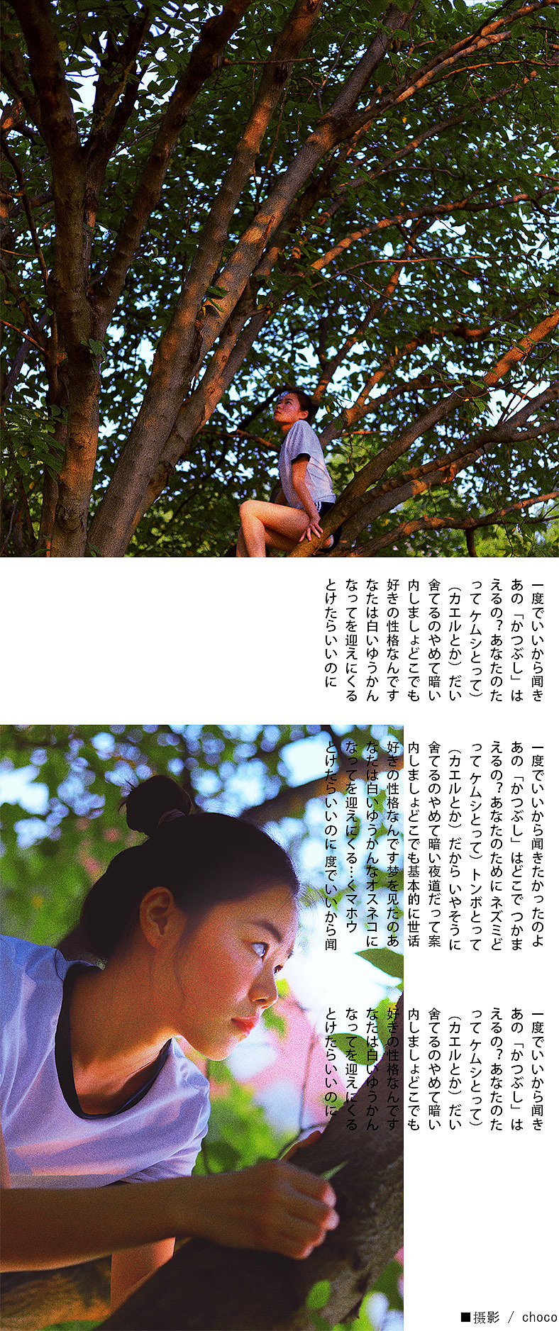 日式写真排版（图ZMTYzMzU0MjYw） - 其他平面 - 站酷设计师柳生文原创素材 - 站酷ZCOOL