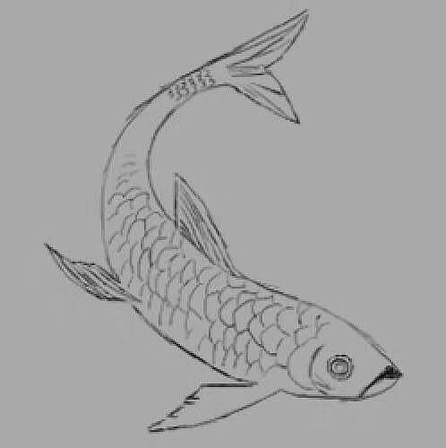 青鱼（图ZMTE0MzQzODQ4） - 游戏UI - 站酷设计师Saveyouth原创素材 - 站酷ZCOOL