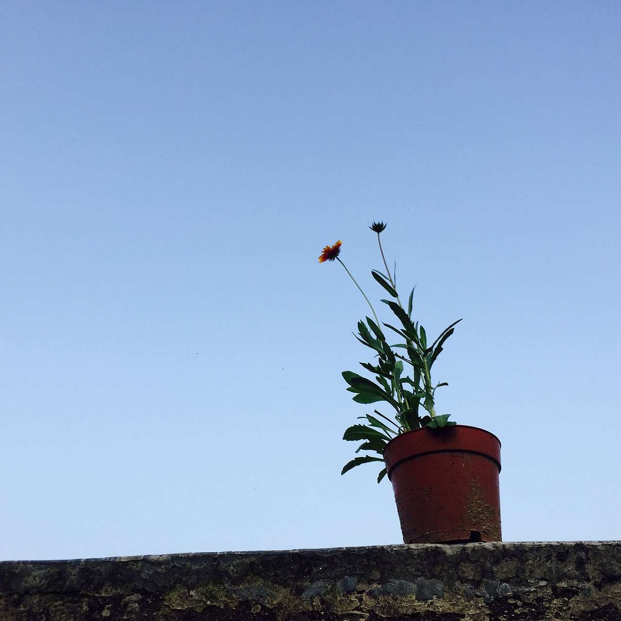 随手拍的照片（图ZNTQxNTQ2ODg=） - 产品摄影 - 站酷设计师爱你的章鱼哥原创素材 - 站酷ZCOOL