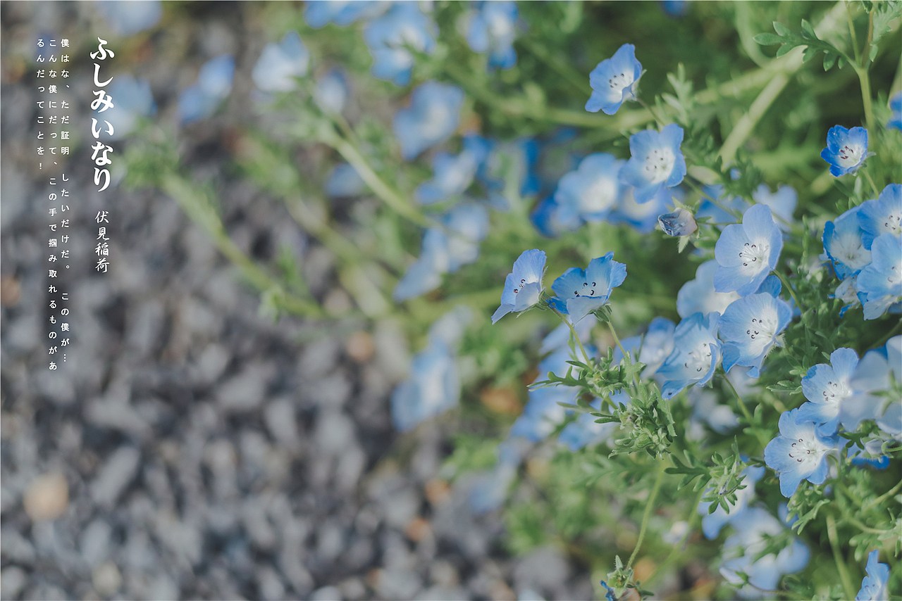 暴走京都，非打卡行摄记录（二）