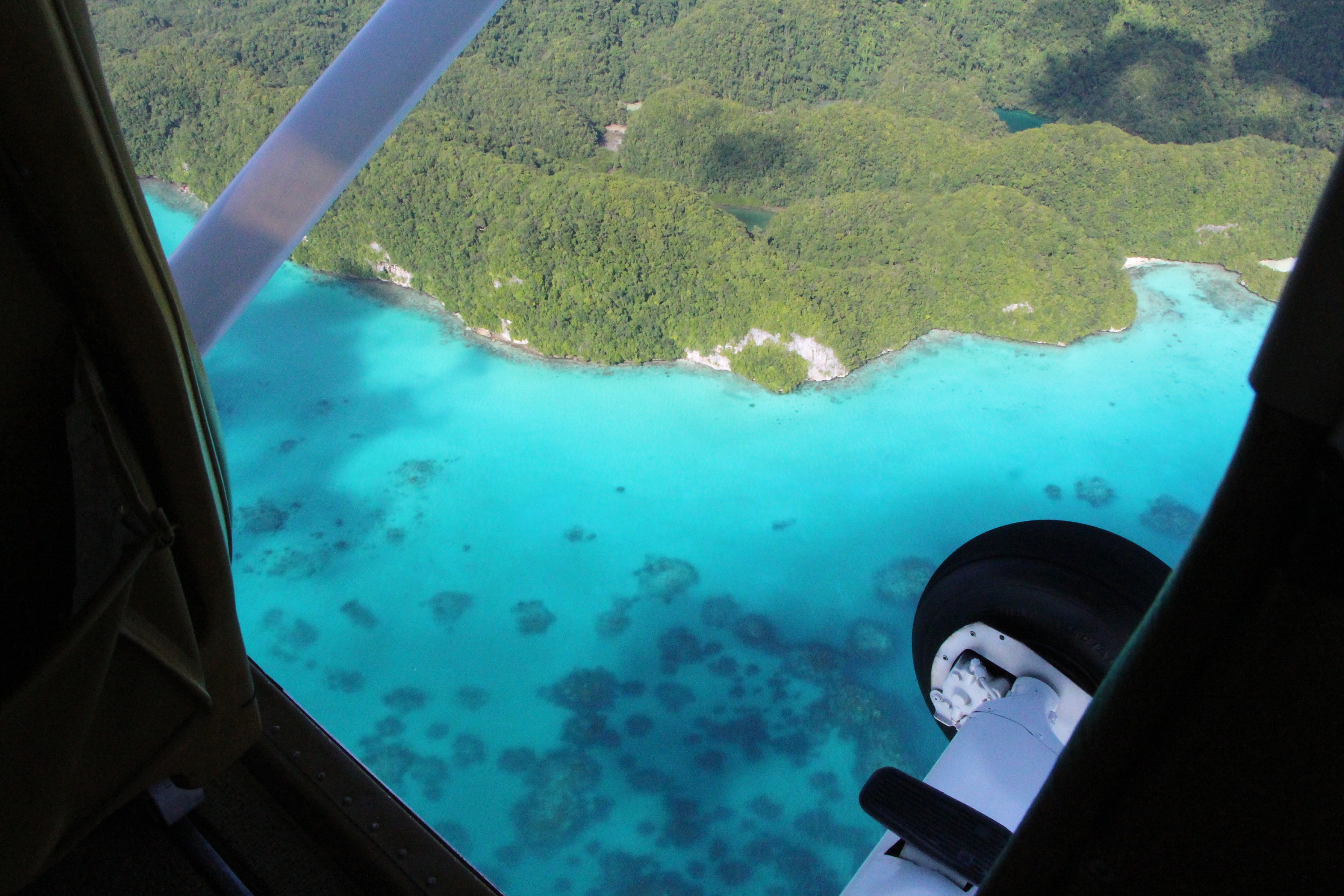印尼四王岛：泰国的消费看帕劳风景，自由行5天只要3000元_潜水