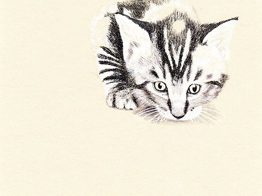 OY手绘:鱼·猫1