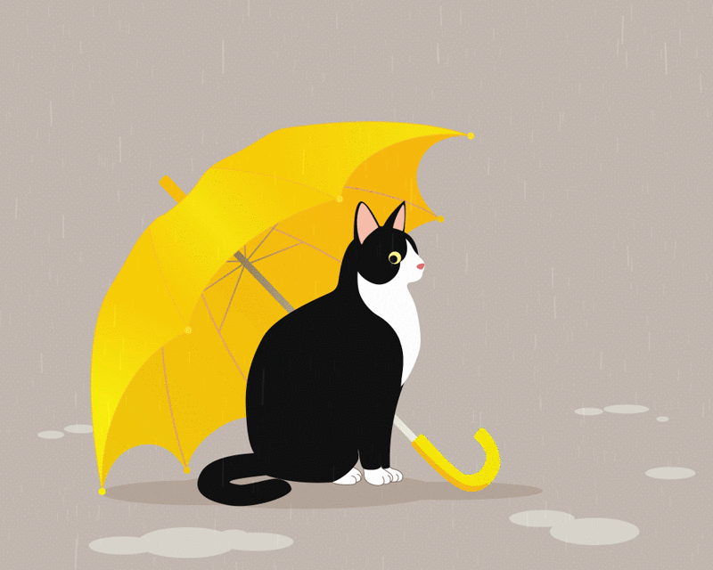 AE还能这样玩！（图ZNzUzMzMwOTI=） - 动效设计 - 站酷设计师某某猫某某某原创素材 - 站酷ZCOOL