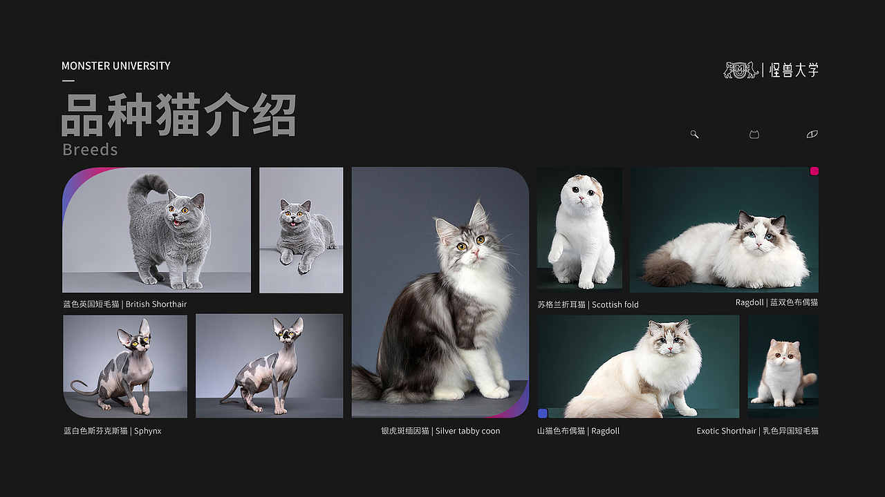 怪兽大学品牌介绍（已商用）（图ZMTczODA5NDg0） - 品牌 - 站酷设计师狂热品创原创素材 - 站酷ZCOOL