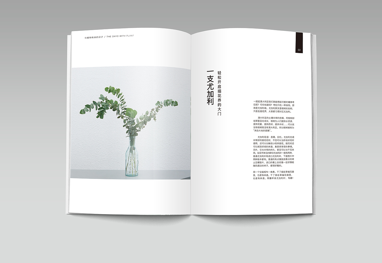 北欧风格植物画册（图ZNzk1MDIwNzY=） - 书籍/画册 - 站酷设计师人懒如猫原创素材 - 站酷ZCOOL