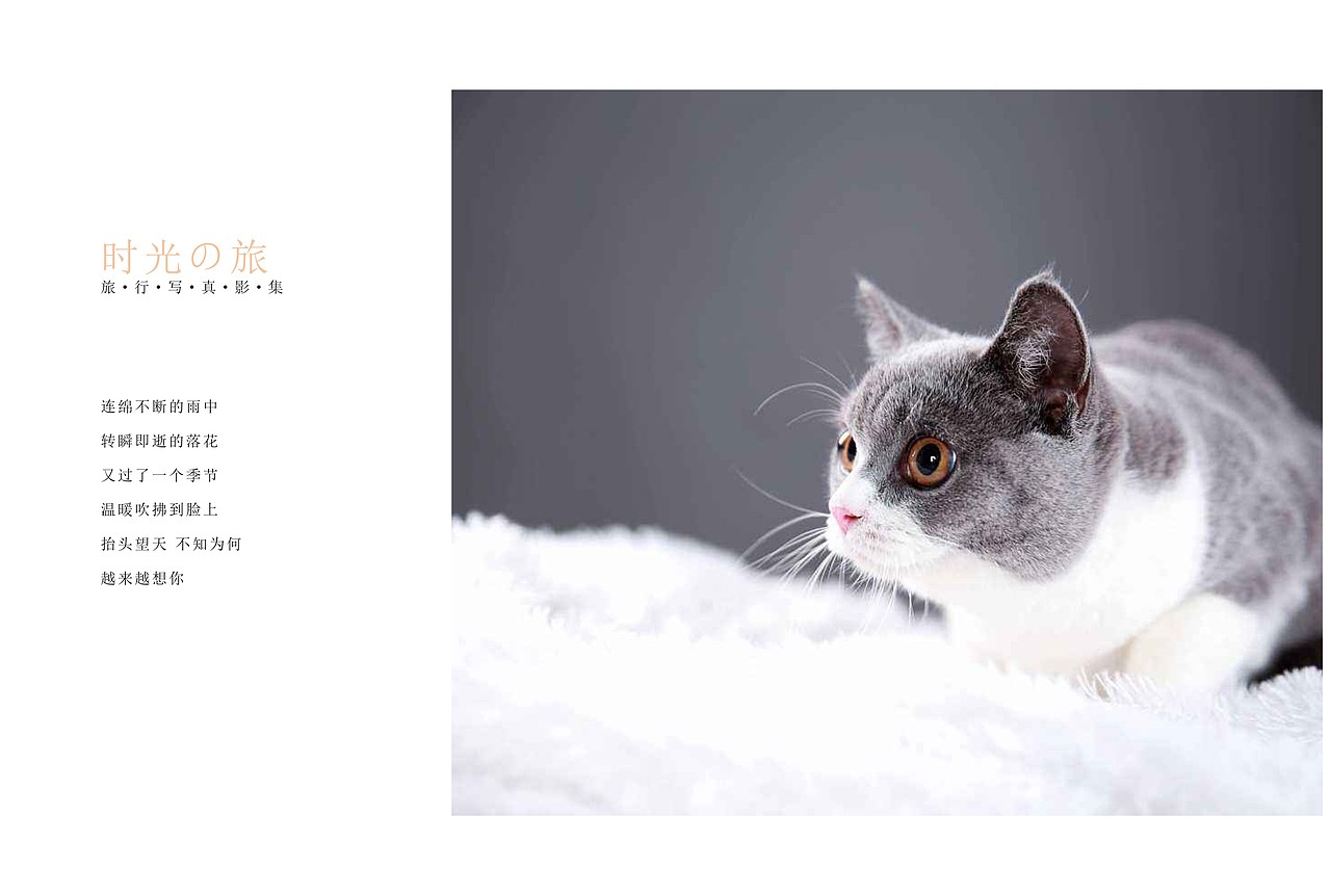 画册（图ZMTU4Mjk1ODIw） - 书籍/画册 - 站酷设计师希梦陌清原创素材 - 站酷ZCOOL