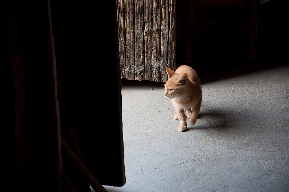 塔川秋色意渐浓（图ZMjExNjc4NTY=） - 风光摄影 - 站酷设计师林MIA原创素材 - 站酷ZCOOL