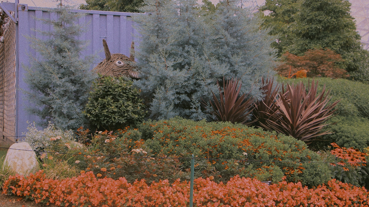 上海辰山植物园