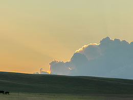 <b class='hightlight'>草原</b>