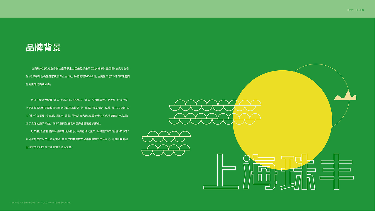 上海珠丰农产品品牌包装设计