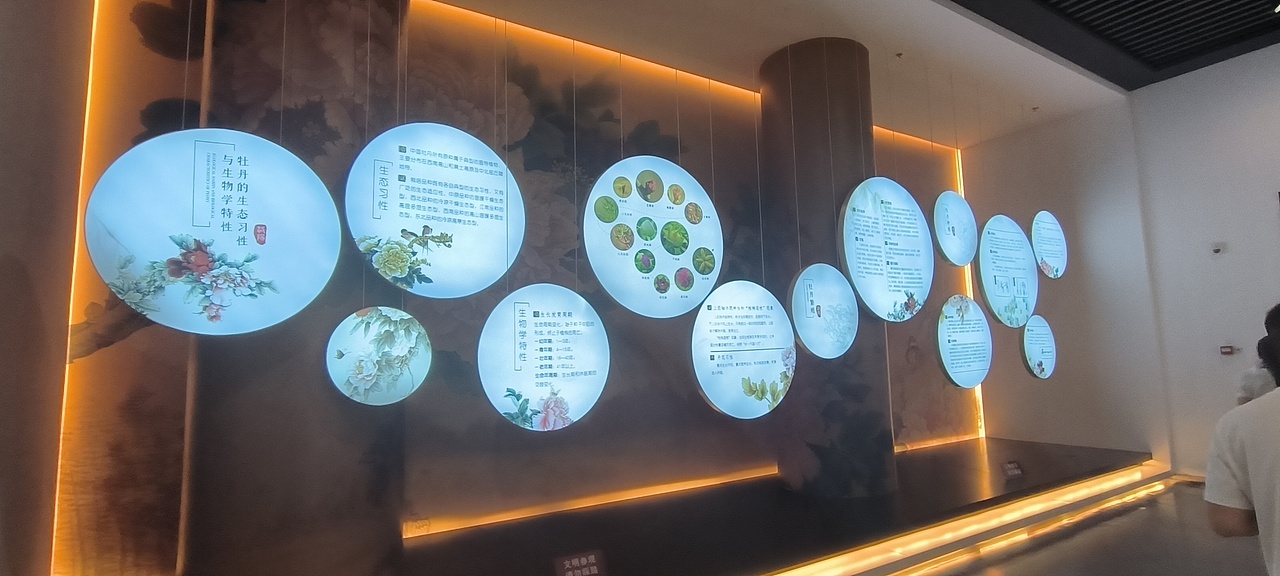 洛阳牡丹博物馆