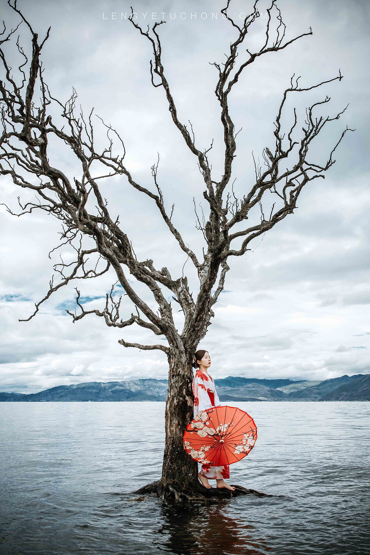 风吹起你的头发 一张棕色的小网 撒满我的面颊