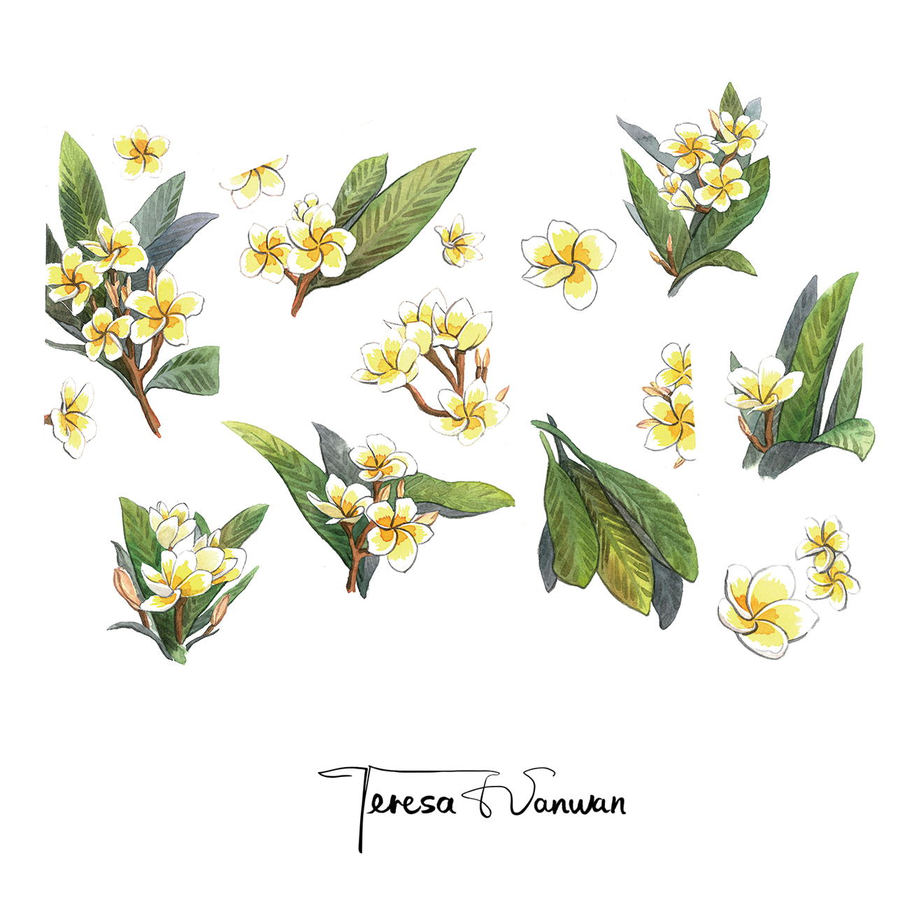 TeresaWanwan的个人主页（封面预览） - 主页封面设置 - 站酷设计师TeresaWanwan原创素材 - 站酷ZCOOL