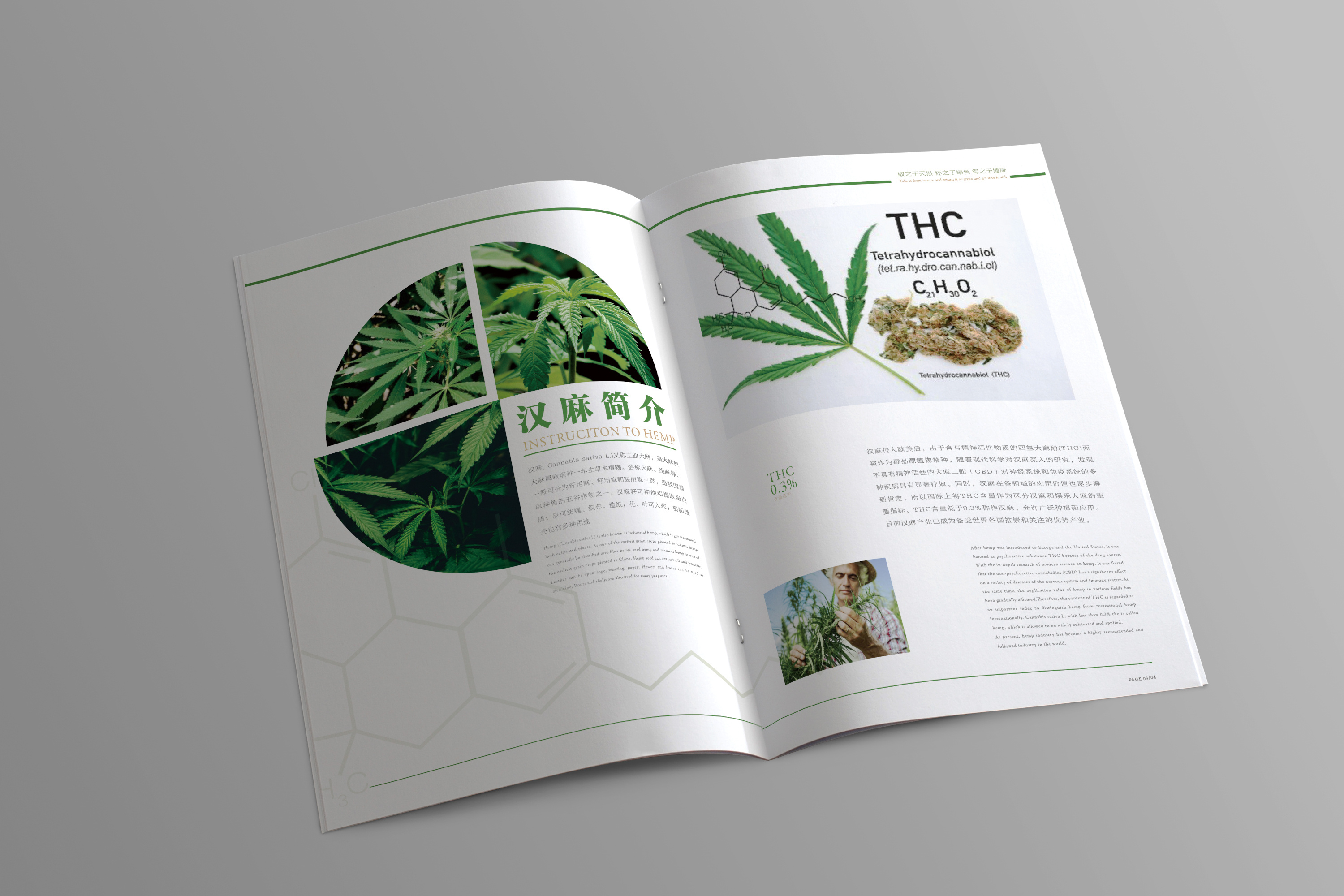 恒源汉麻画册设计