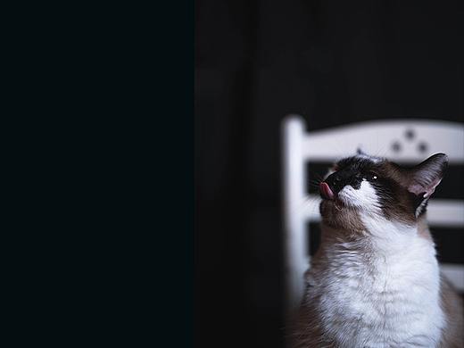 练习 寻找与尝试