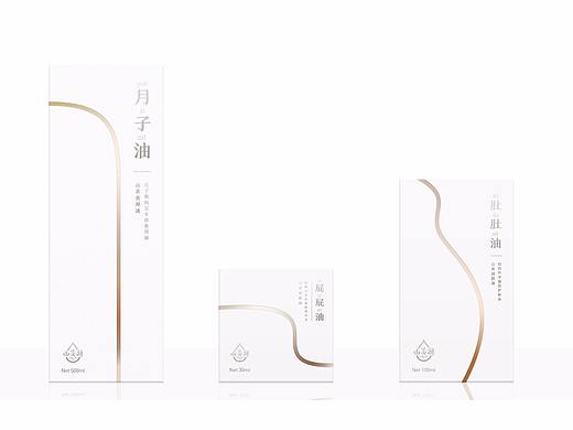 山茶油包装设计 