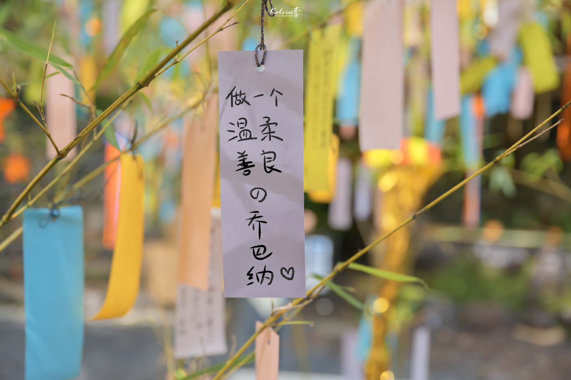 悉茗_tiaayi的個(gè)人主頁(yè)（封面預(yù)覽） - 主頁(yè)封面設(shè)置 - 站酷設(shè)計(jì)師悉茗_tiaayi原創(chuàng)素材 - 站酷ZCOOL