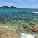 皮YY的头像