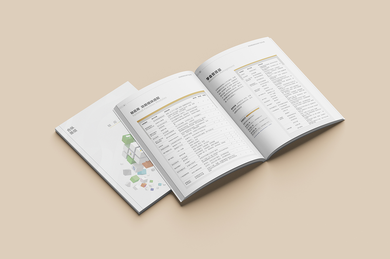 期刊宣传册_ 设计