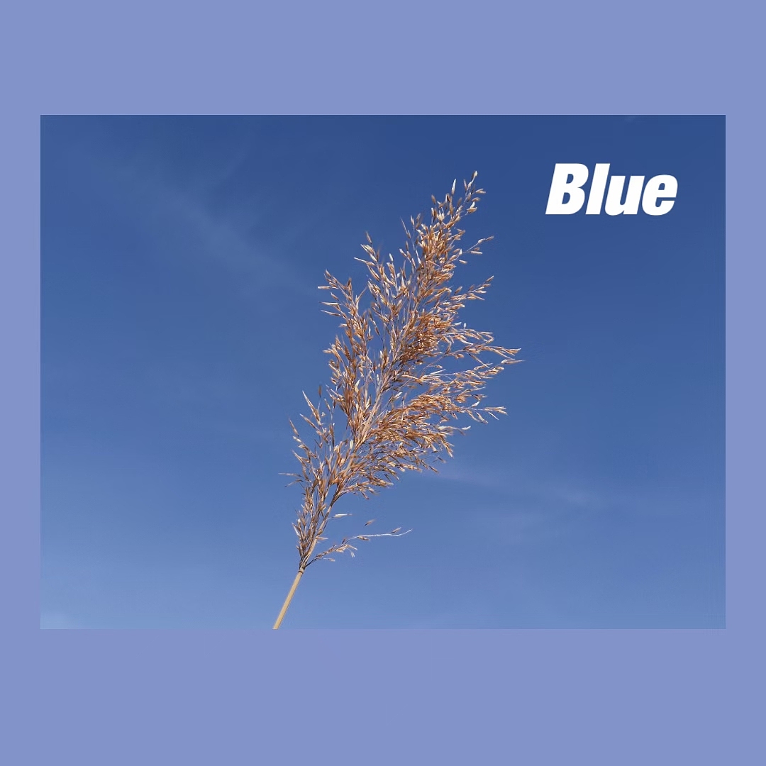 风景（图ZMjQ0NDk1ODIw） - 风光摄影 - 站酷设计师SGEJWJ原创素材 - 站酷ZCOOL