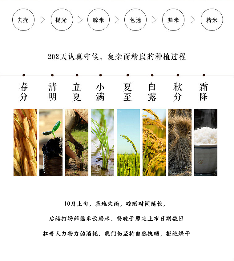 大米（图ZMTM1ODcxNzg0） - 电商 - 站酷设计师理想智造视觉设计原创素材 - 站酷ZCOOL