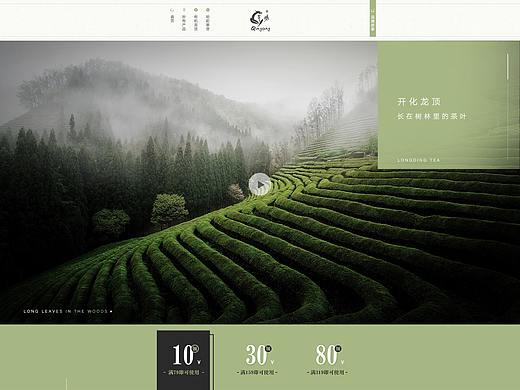 芹阳龙顶茶叶天猫首页