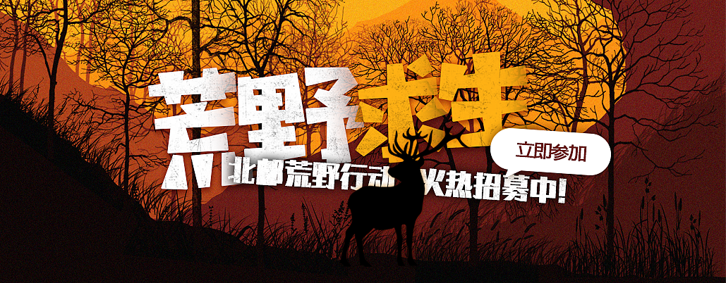 【合集】插画设计练习合集