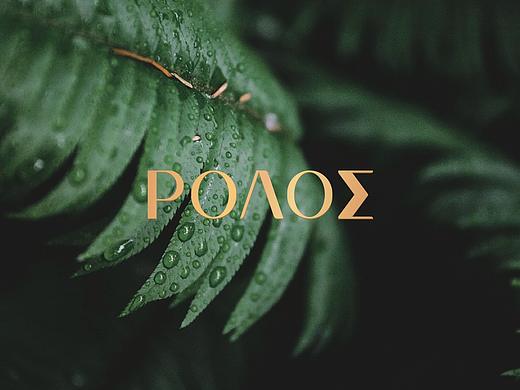 ΡΟΛΟΣ 芙洛莎花店