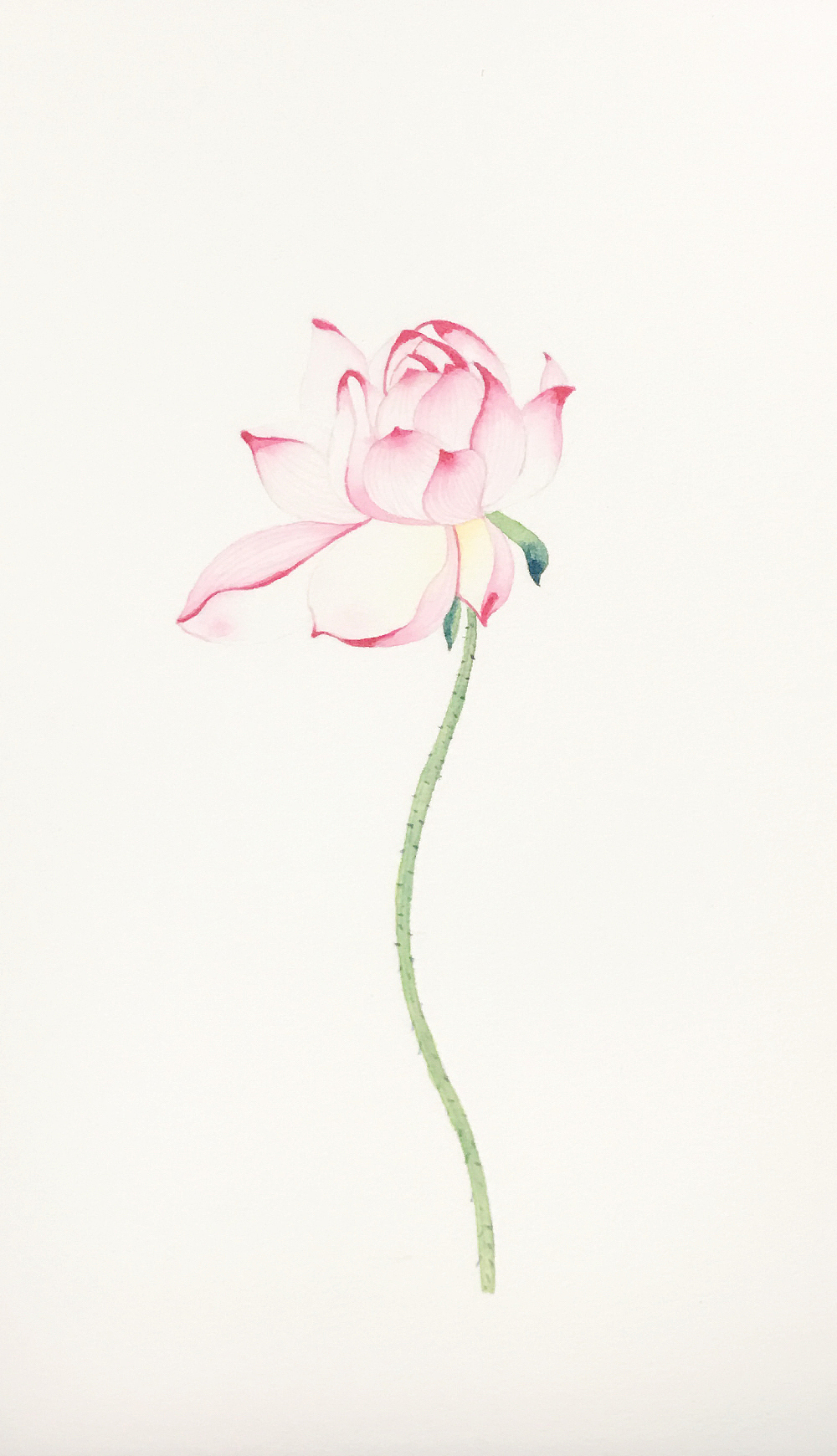 近期水彩总结（图ZODY5MDM1ODA=） - 创作习作 - 站酷设计师JoYou佑原创素材 - 站酷ZCOOL