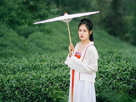 翠盈盈悠香飘，茶垄漫山绕