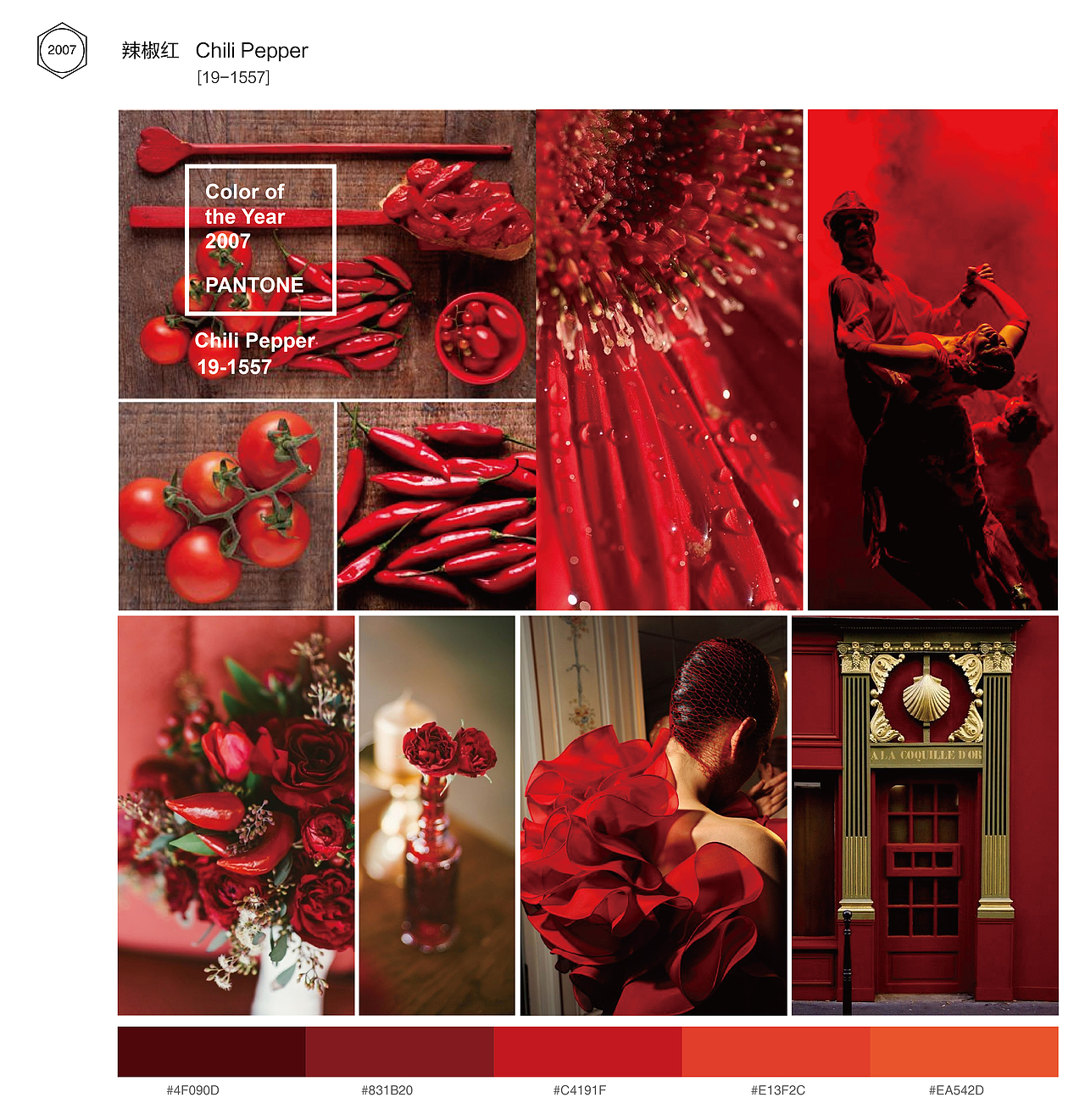 2007年 辣椒红 Pantone编号19-1557，庆典、爱情、激情都让人联想到火热的红，就像是具有大量红色的菜肴，印象浓烈而深刻，也是最能凸显个性和让人兴奋的颜色。在餐厅墙壁上挂上一副辣椒的画会引发食欲，而放在卧室会增加性感程度。