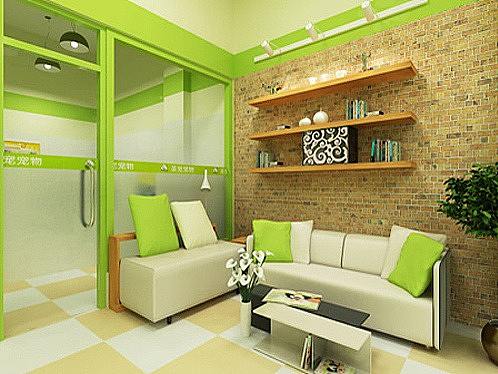 宠物店设计|宠物食品店设计|水族店设计|花店设计